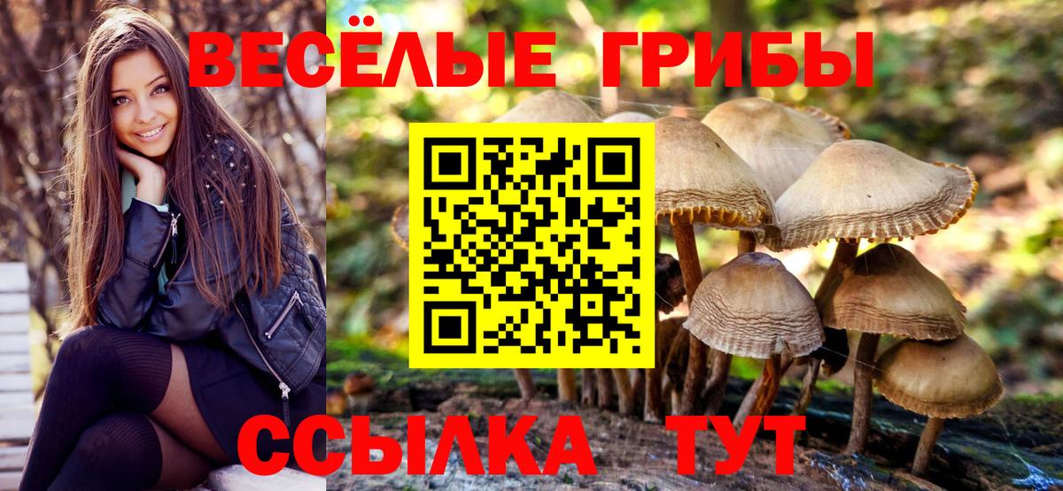 Галлюциногенные грибы GOLDEN TEACHER  Вход с VPN  Калуга  Галлюциногенные грибы прущие грибы 